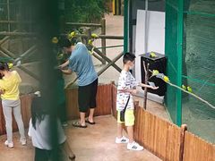 -杭州开元森泊度假乐园