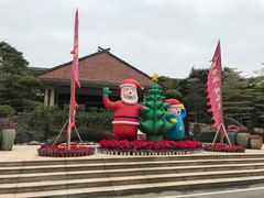 -森波拉火山温泉