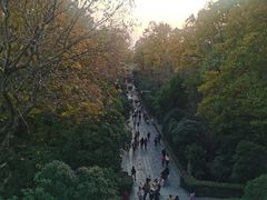 -灵谷景区