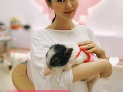 -猪盟咖啡店(玖洲道店)