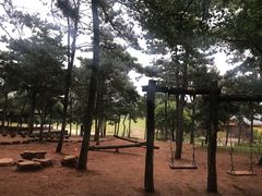 游乐设施-北京西山国家森林公园