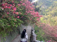 -木兰云雾山