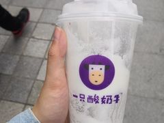 -一只酸奶牛(八一路店)