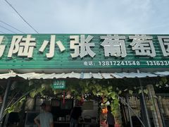 -马陆小张葡萄园农家乐