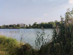 -澹台湖公园