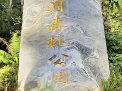 -普洱太阳河森林公园