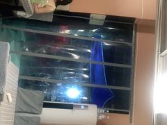 -黑皮烧烤(民意四路店)