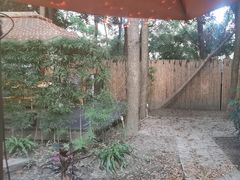 -二荆条·蜀鲜汇城市森林火锅