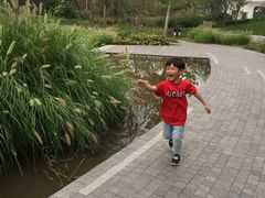 -武清南湖绿博园