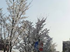 -浙江大学(海宁国际校区)