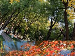 -堤角公园