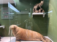 -国家自然博物馆