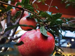 -后海16号·北京私房菜