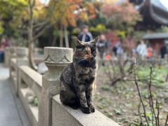 -龙华寺