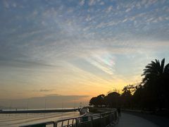 -深圳湾公园(南山区)