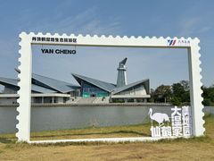 -盐城丹顶鹤湿地生态旅游区