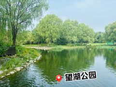 -望湖公园