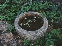 -三溪村