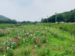 -十三陵水库
