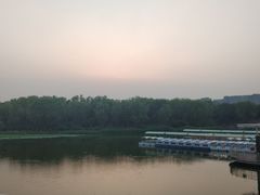 -大兴滨河森林公园