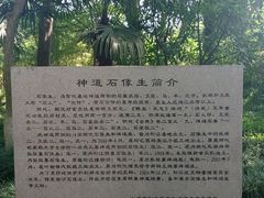 -上海方塔园