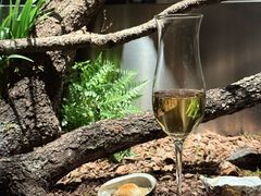 -曲廊院(东四十一条店)