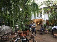 -Fern Forest Cafe