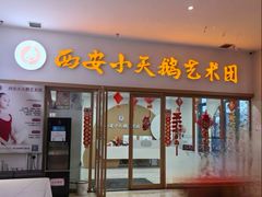 -西安小天鹅艺术团(金花路校区)