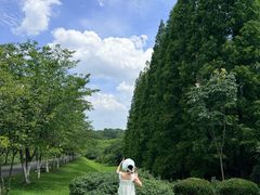 -宜兴龙背山森林公园