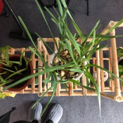 -肌遇皮肤管理中心