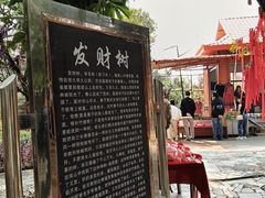 -瑞丽独树成林风景区