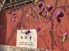 -红螺寺
