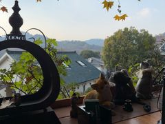 -马灯部落·西湖边的创意山景餐厅(虎跑动物园店)