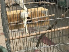 -姥家大锅台水库渔家