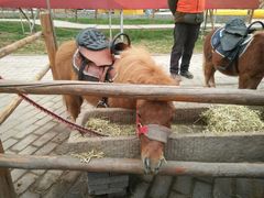 -茶肆(袁家村店)