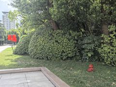 -宋庆龄陵园