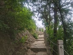 -佛慧山