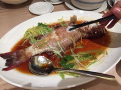 iphone_upload_pic-陶陶居海鲜酒家(新马路店)