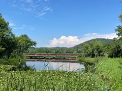 -长广溪湿地公园