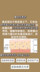 -美肤盾祛痘·问题肌头疗管理中心