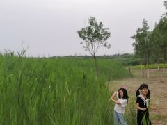 -西青郊野公园