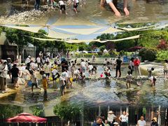 -洪湖家庭农场·团建·露营·会议