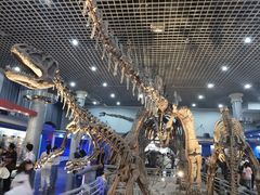 -国家自然博物馆