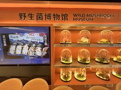 -芸山季·云南山珍菌火锅(人民广场来福士店)