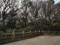 -灵谷景区