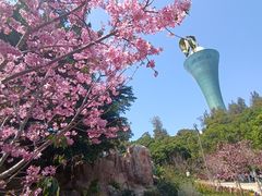 -狐尾山公园