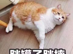 -美滋每客(亲贤北街店)