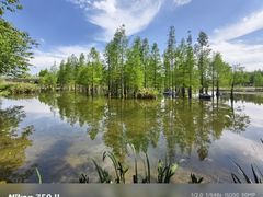 -白鹭湾湿地公园