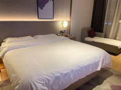 -麗枫酒店(西安大明宫龙首原地铁站店)