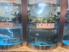 -老船舫·现做活鲜鱼馆(东郊记忆店)